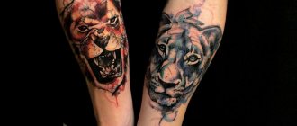 Tatouage avec un lion