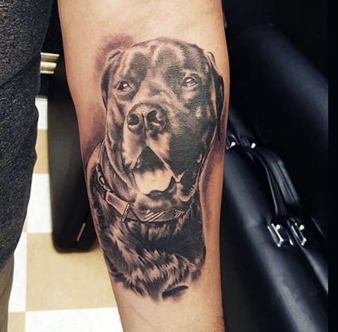Tatouage d'un chien sur l'avant-bras