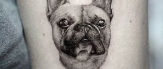Chien tatoué