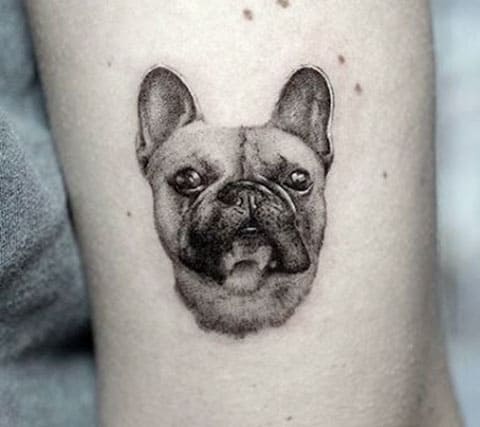 Tatouer un chien
