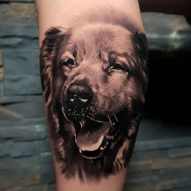 signification du tatouage de chien