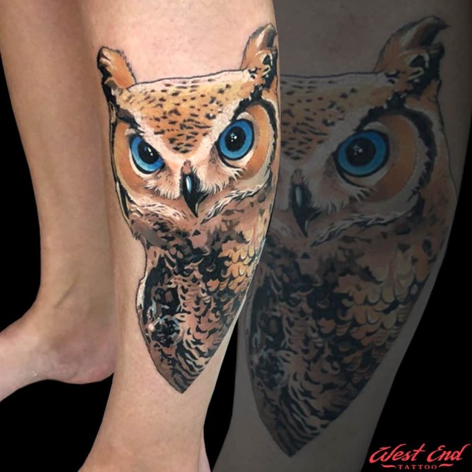 Tatouage d'une chouette sur une jambe