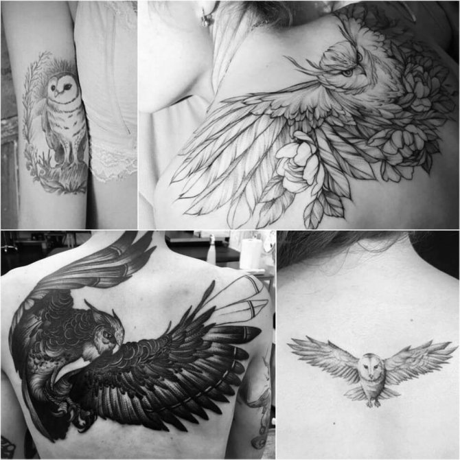 Tatouage de la chouette - Signification et croquis du tatouage de la chouette