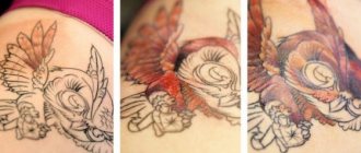 Tatouage d'une chouette