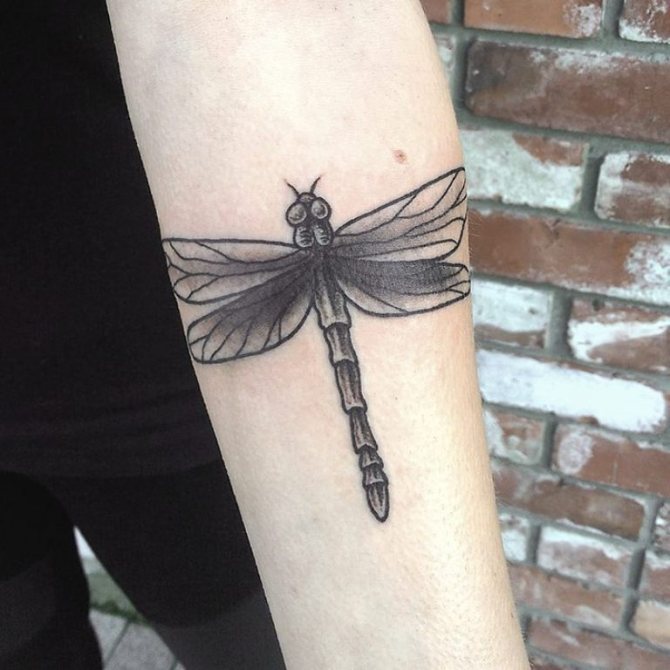 Tatouage de libellule pour homme