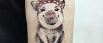 Tattoo Pig
