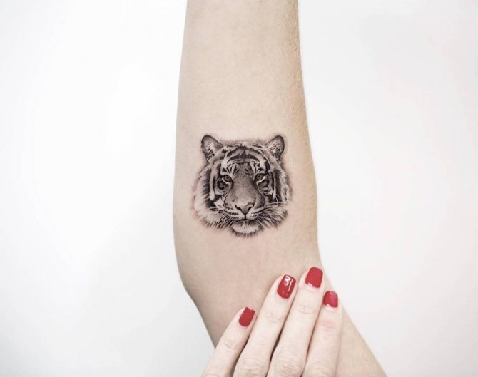 tatouage de main de tigre