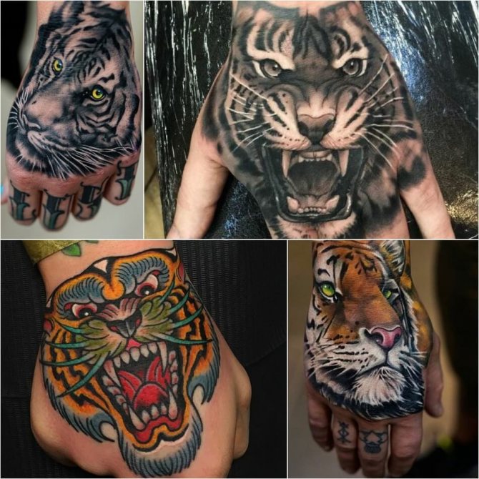 Tatouage tigre - Tatouage tigre - Tatouage tigre au poignet