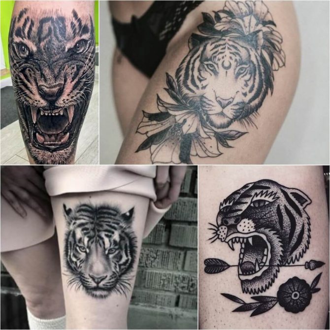 Tatouage tigre - Tatouage tigre sur les jambes - Tatouage tigre sur les jambes
