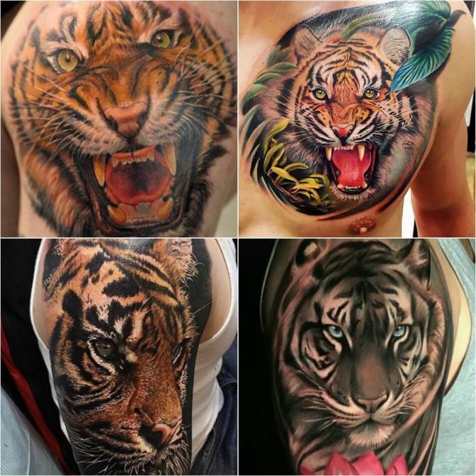 Tatouage Tigre - Tatouage Réalisme Tigre - Tatouage Réalisme Tigre