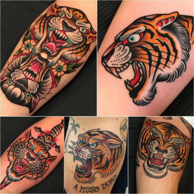 Tatouage tigre - tatouage tigre oldskool - Tatouage tigre oldskool