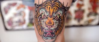 Tatouage tigre - Tatouage tigre - Signification du tatouage tigre