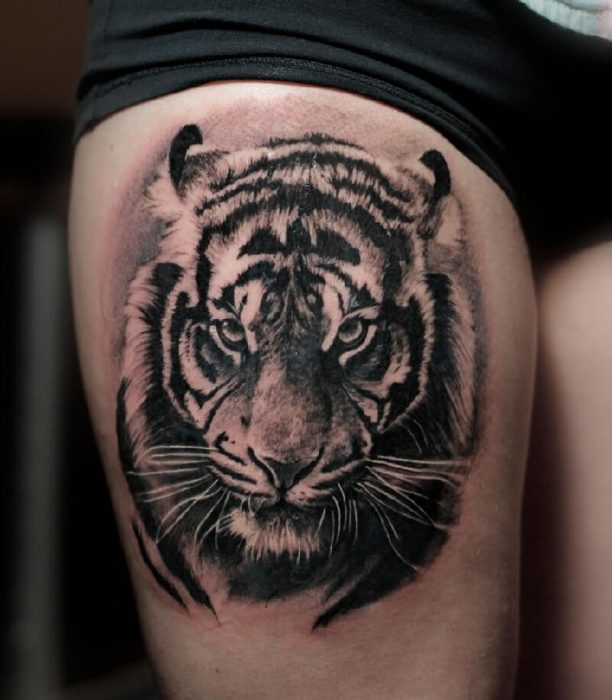 Tatouage Tigre - Tatouage Tigre - Signification du tatouage Tigre