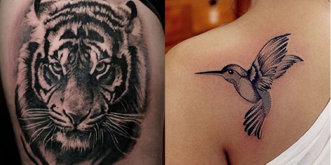 Tatouage du tigre