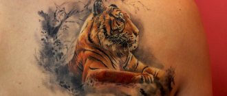 tatouage de tigre