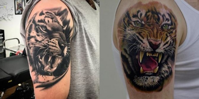 Tatouage du tigre