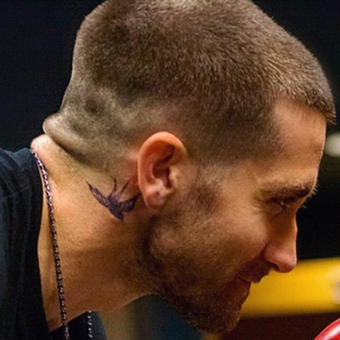Tatouage d'hirondelle sur le cou de l'acteur Jake Gyllenhaal