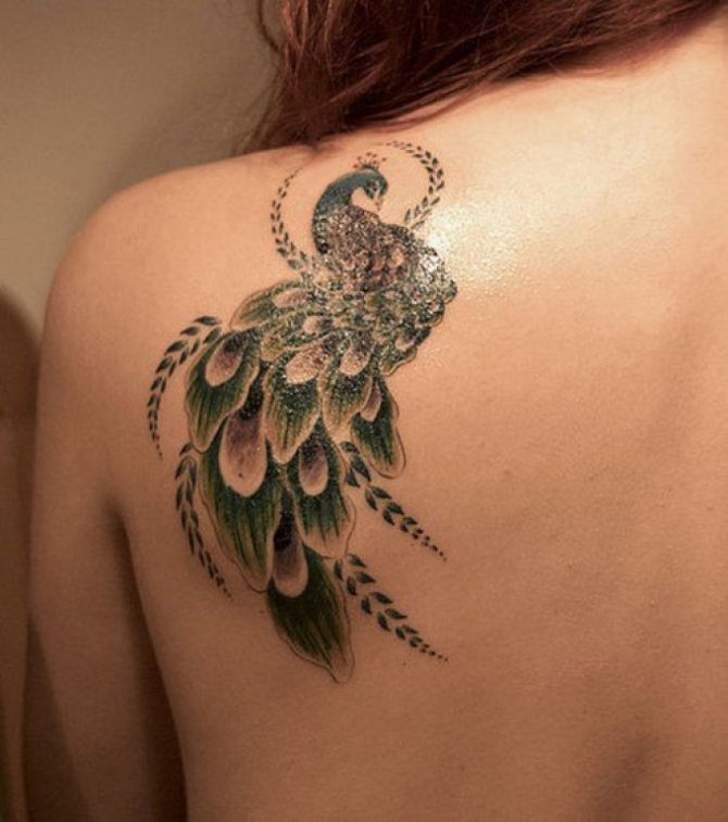 Le tatouage en forme de paon est très beau.