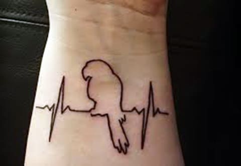 Tatouage de perroquet au poignet