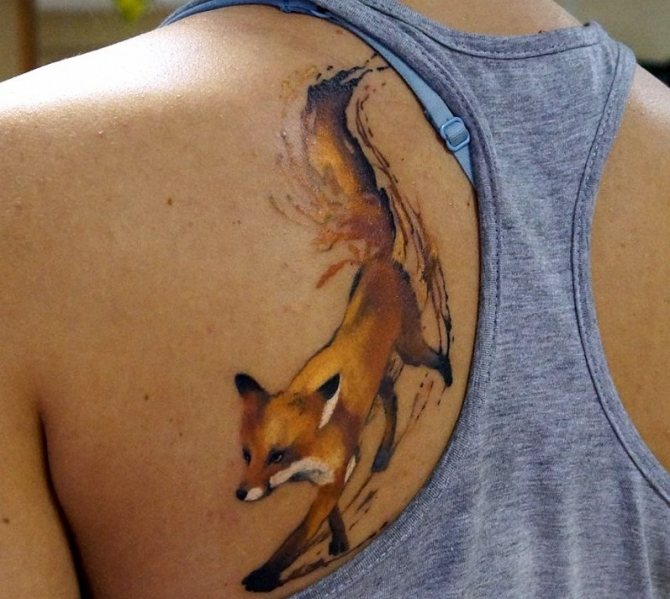Tatouage comme une chanterelle se promenant sur l'omoplate