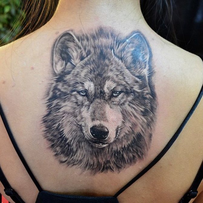Tatouage en forme de loup
