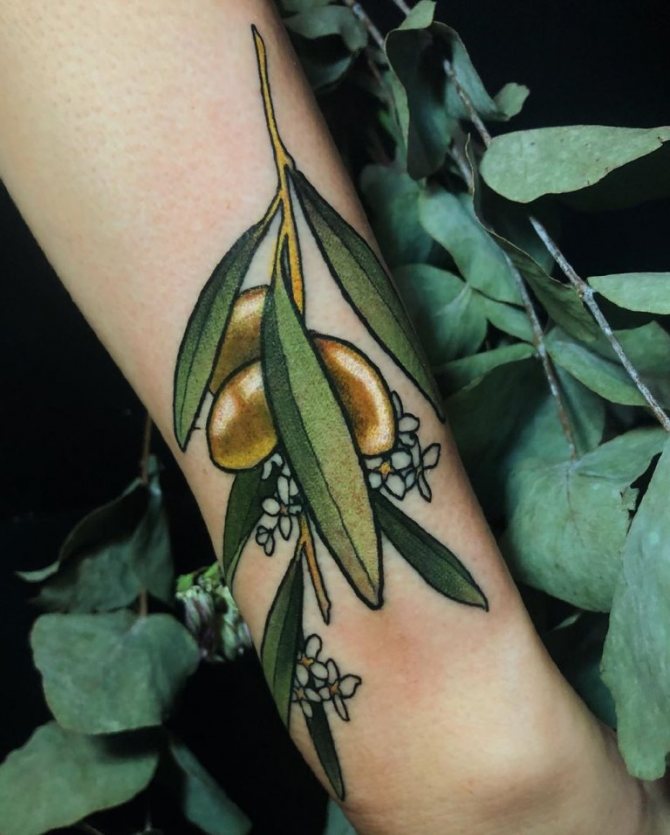 tatouage branche d'olivier