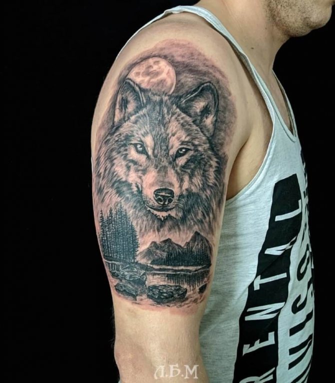 Tatouage d'un loup sur l'épaule