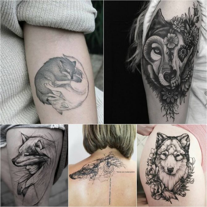 Tatouage de loup - tatouage de loup pour les filles - signification et croquis du tatouage de loup