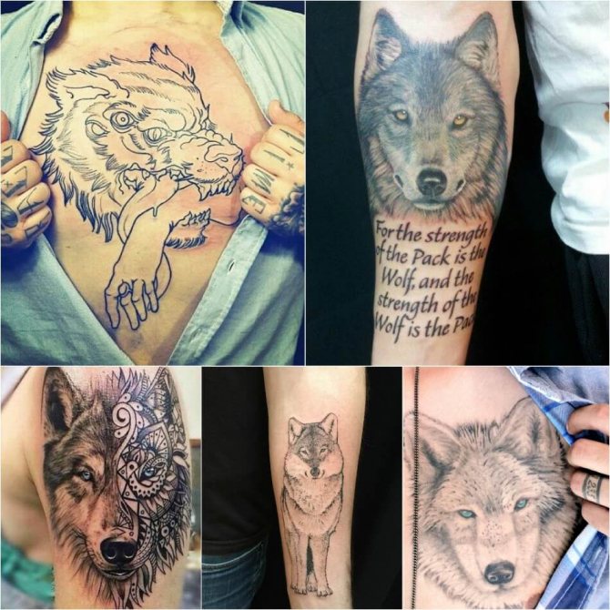 Tatouage loup - Tatouage loup pour hommes - Tatouage loup masculin - Signification et croquis du tatouage loup