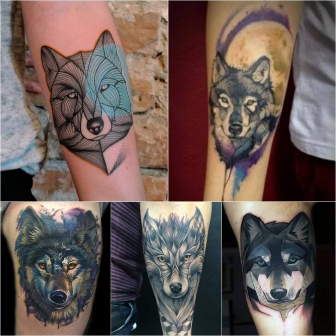 Tatouage Loup - Tatouage Loup pour Hommes - Tatouage Loup Masculin - Signification et esquisse du tatouage Loup