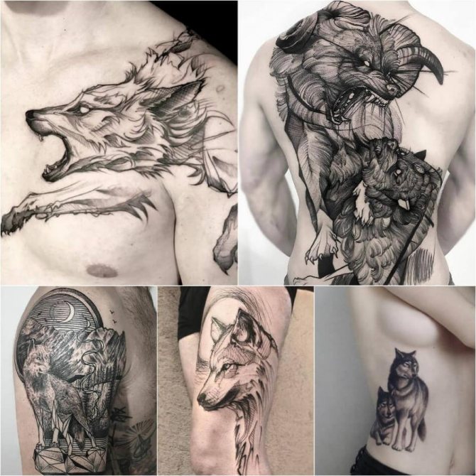 Tattoo loup - Signification du tatouage loup - Signification et croquis du tatouage loup