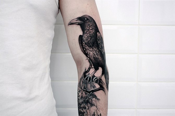 Tatouage d'un corbeau sur l'épaule, le bras, la poitrine et le cou. Signification pour les hommes, les filles