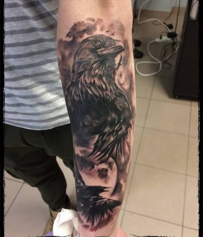 Tatouage d'un corbeau sur l'avant-bras