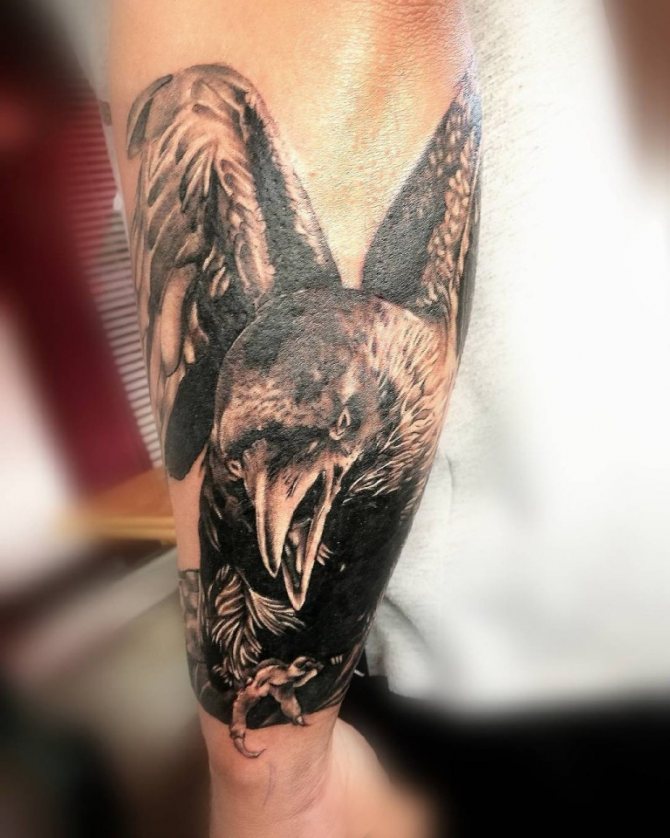 Tatouage d'un corbeau