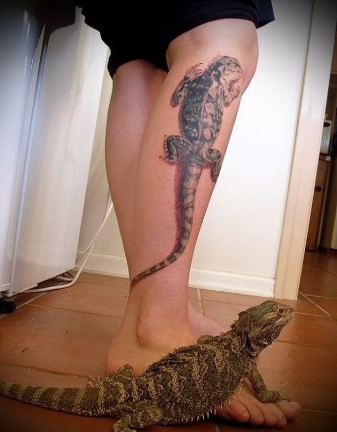 Le tatouage d'un lézard sur sa jambe symbolisera la paix et le compromis.