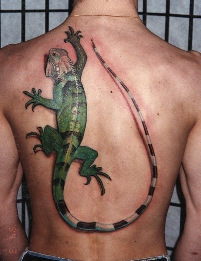 Le tatouage dorsal d'un lézard symbolise l'attraction et attire l'attention.