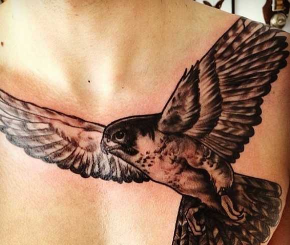 tatouage de faucon sur la poitrine
