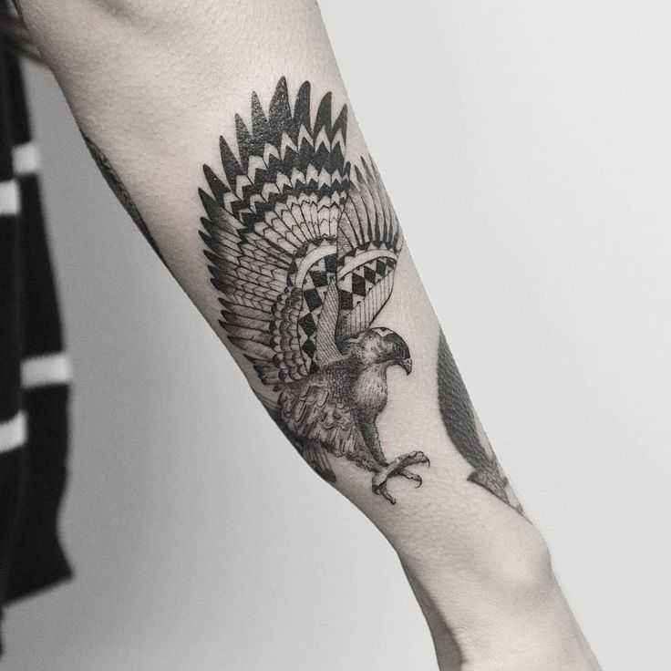 tatouage faucon sur le bras