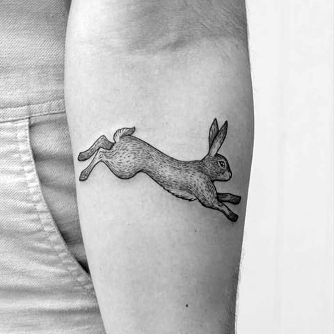 Tatouage d'un lièvre sur le bras - photo