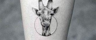 Tatouage girafe