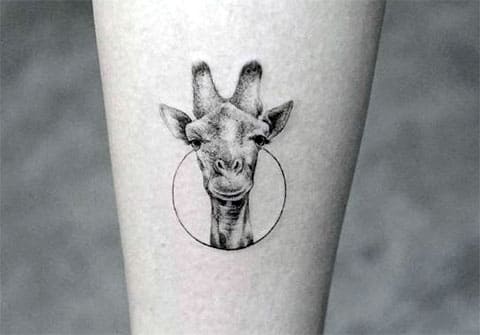 Tatouage girafe