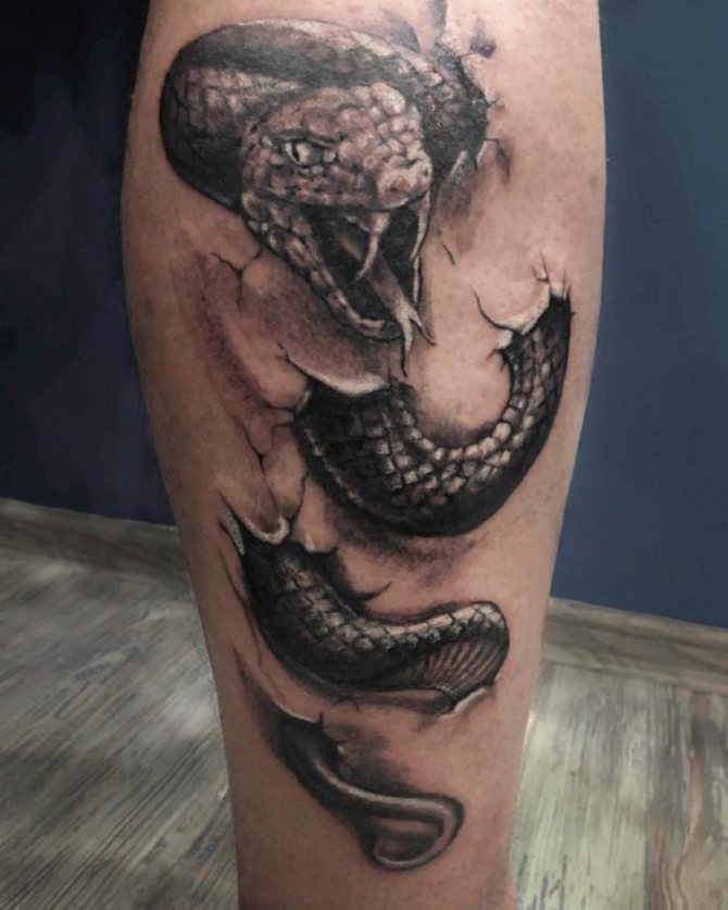 tatouage de serpent