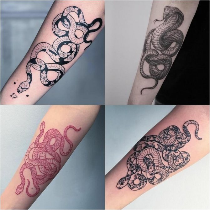 Tatouage de serpent - Tatouage de serpent sur la main - Tatouage de serpent sur la main