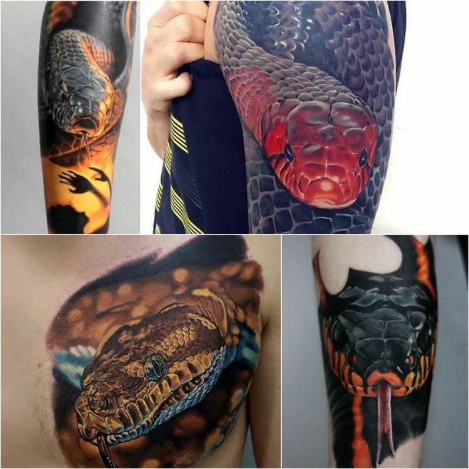 Tatouage serpent - Tatouage serpent - Tatouage serpent réaliste