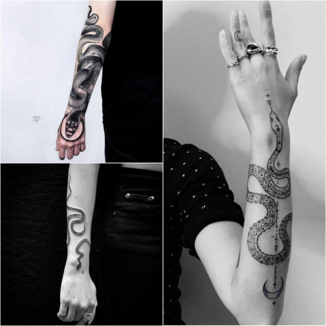 Tattoo Serpent - Tatouage de serpent - Tatouage de serpent autour de votre bras