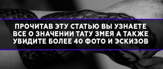 Tattoo Snake Meaning