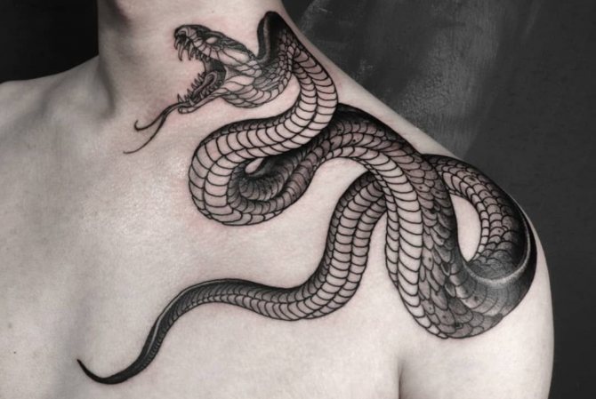 Tatouage de serpent. Signification pour les filles, les hommes, croquis, photos
