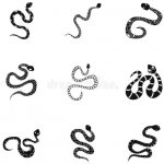 Tatouage de serpent. Signification pour les filles, les hommes, dessins de tatouage, photos