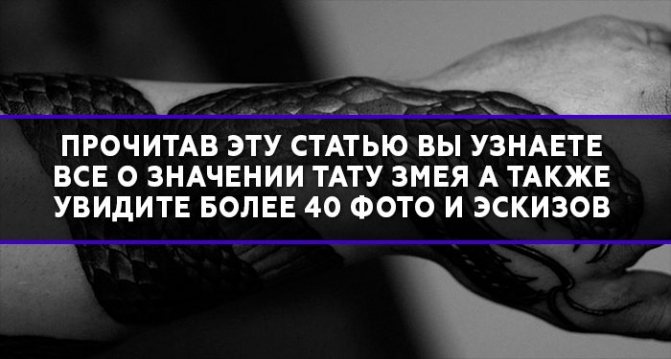 Tattoo Snake Meaning