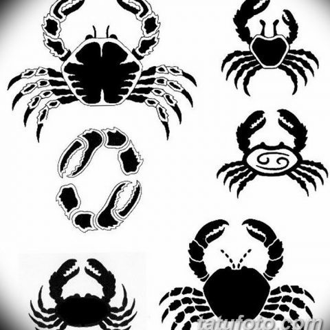 Tatouage du signe astrologique du crabe pour les hommes : collection de designs, photos